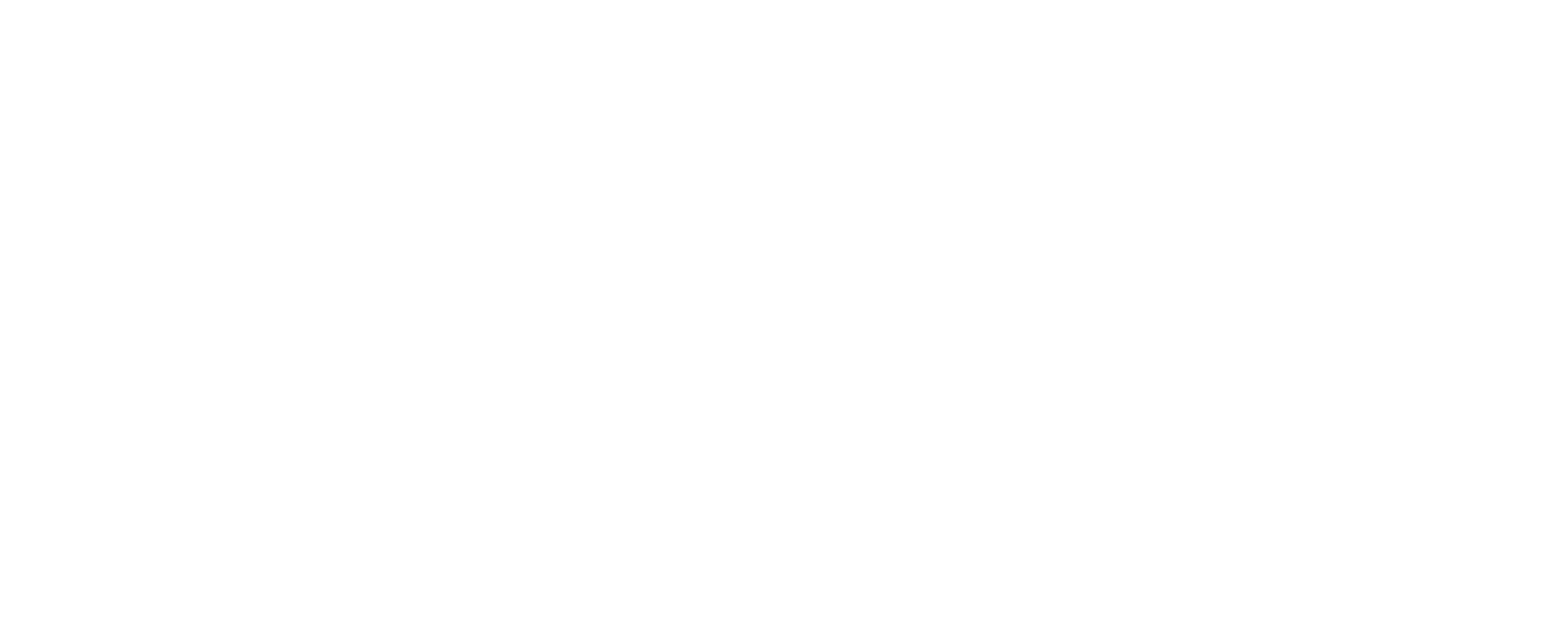 Magellan Logo